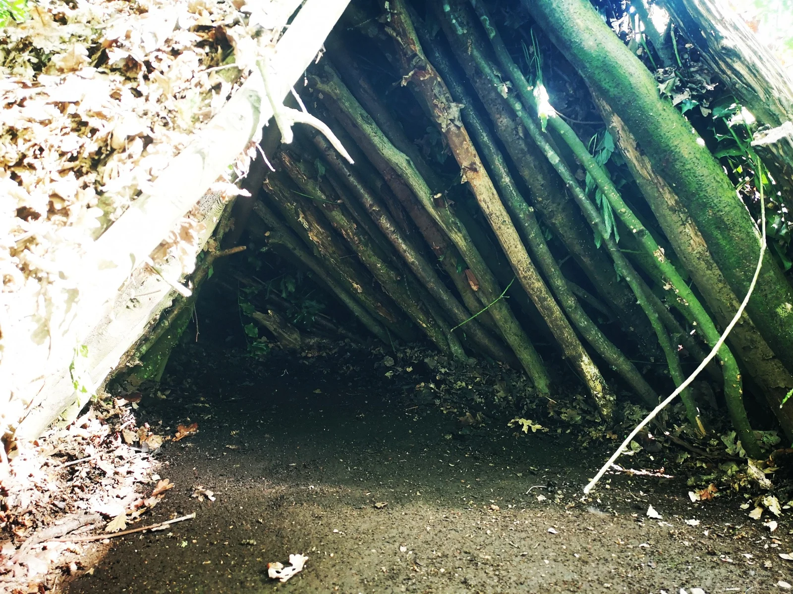 A shelter built from branches