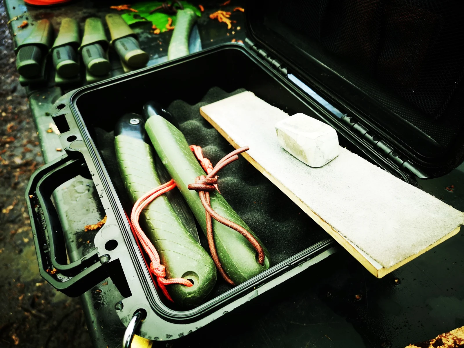 Outdoor equipment and tools organised for a practical session